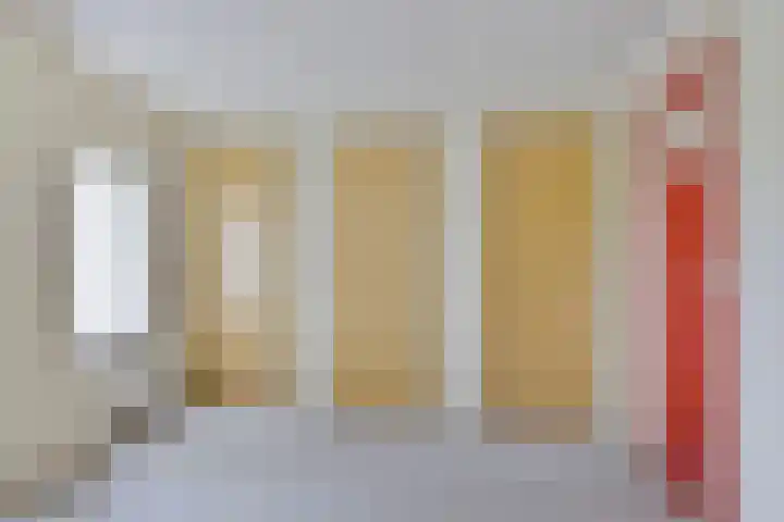 Mensingeweersterweg 4 A Eenrum thumbnail 23