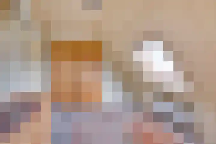 Mensingeweersterweg 4 A Eenrum thumbnail 27