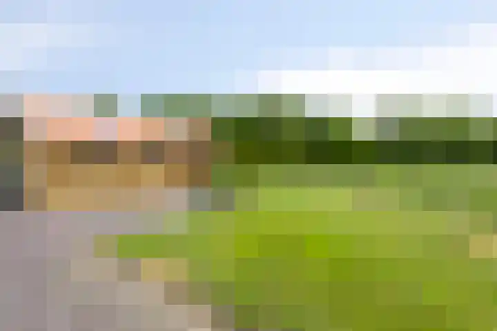 Mensingeweersterweg 4 A Eenrum thumbnail 32