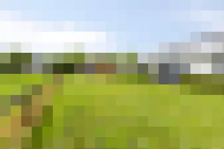 Mensingeweersterweg 4 A Eenrum thumbnail 34