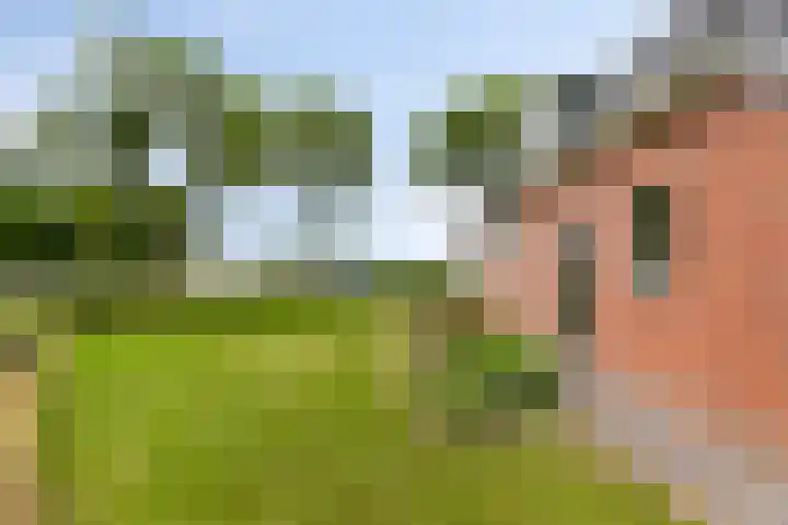 Mensingeweersterweg 4 A Eenrum thumbnail 36