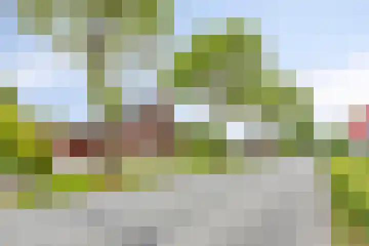 Mensingeweersterweg 4 A Eenrum thumbnail 37