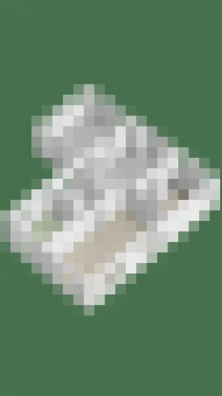 Mensingeweersterweg 4 A Eenrum thumbnail 39