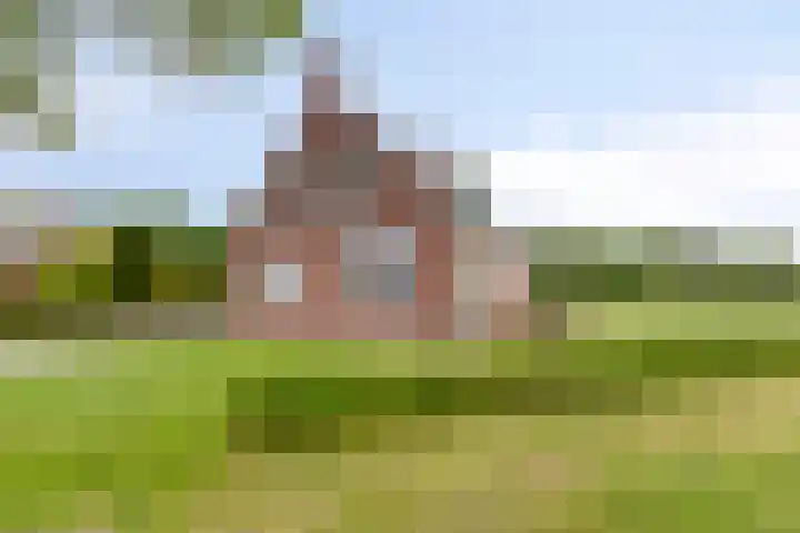 Mensingeweersterweg 4 A Eenrum thumbnail 4