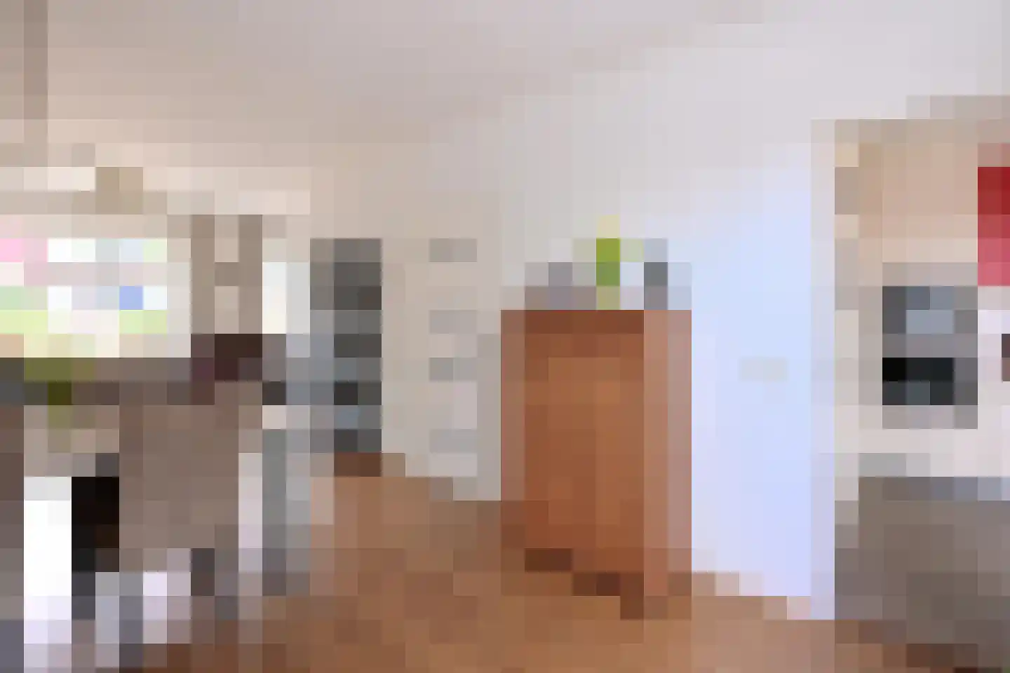 Mensinksdijkje 28 Schalkhaar thumbnail 10