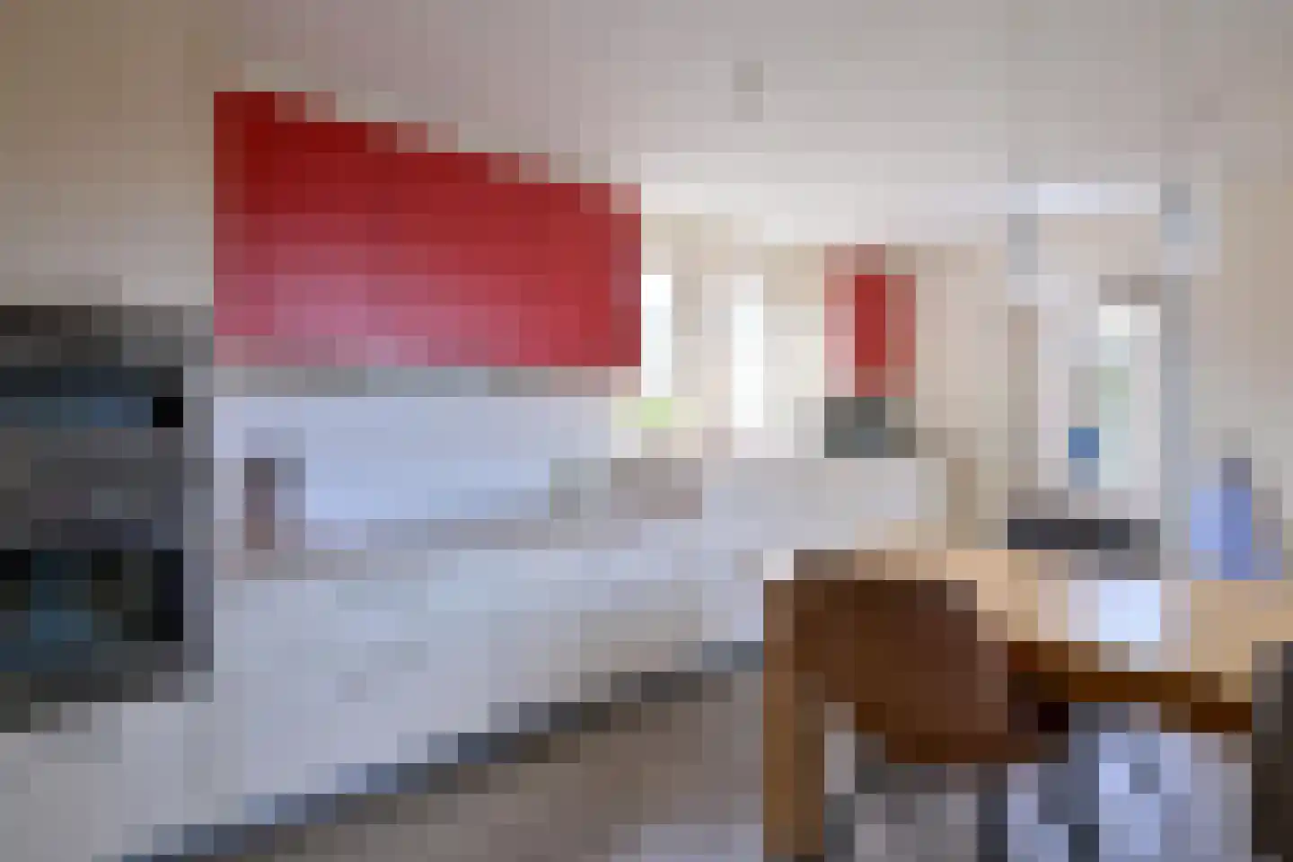 Mensinksdijkje 28 Schalkhaar thumbnail 11