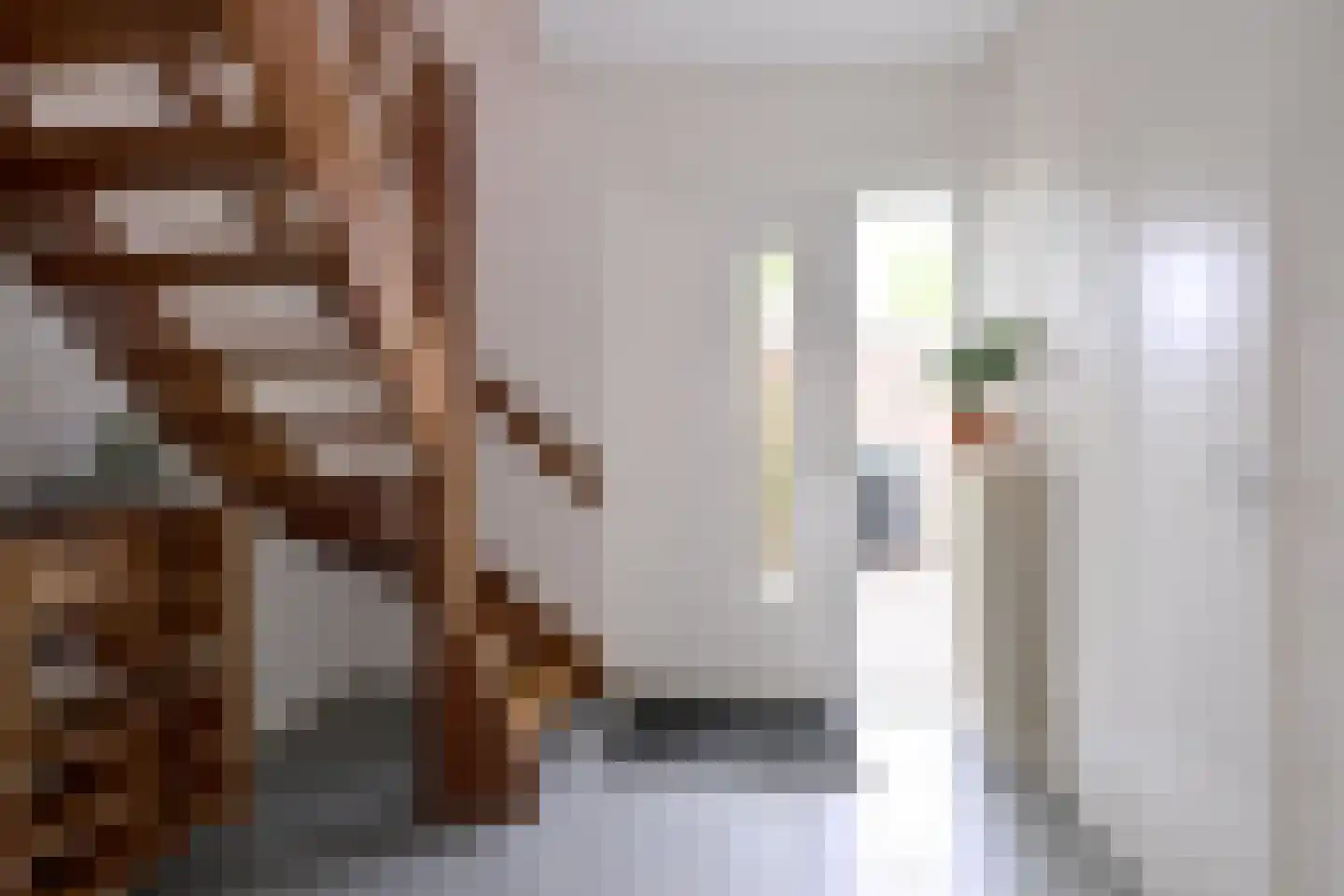 Mensinksdijkje 28 Schalkhaar thumbnail 14