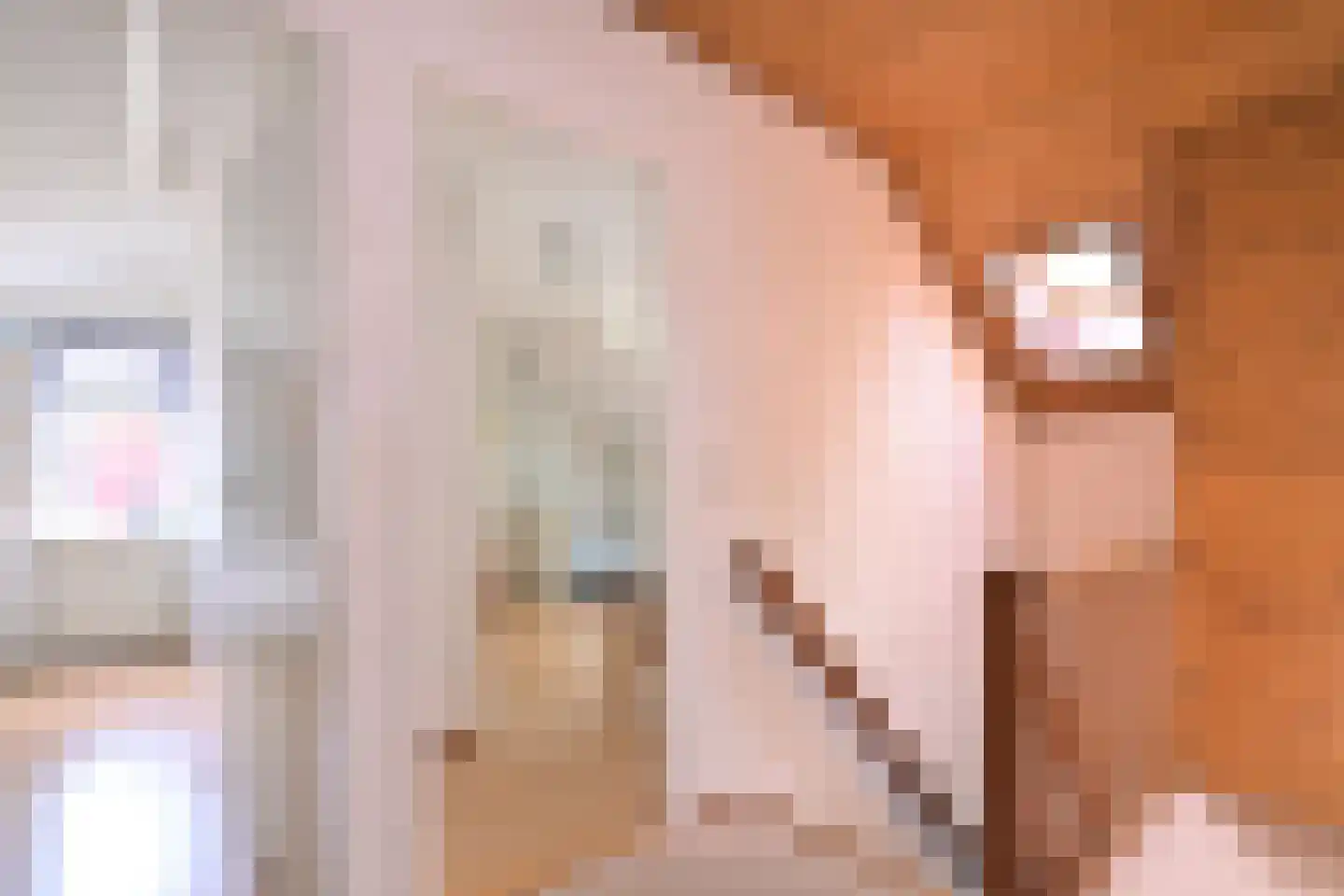 Mensinksdijkje 28 Schalkhaar thumbnail 15