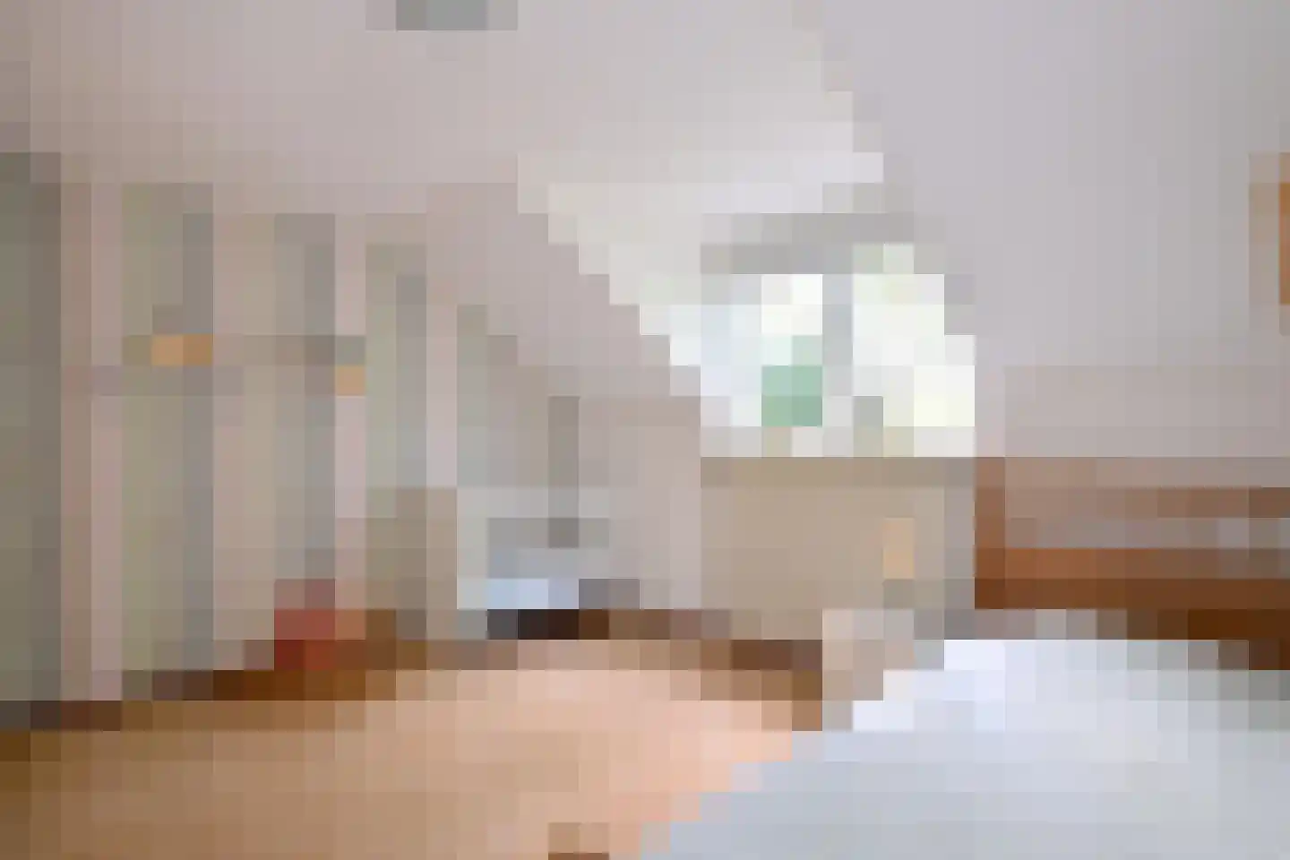 Mensinksdijkje 28 Schalkhaar thumbnail 16