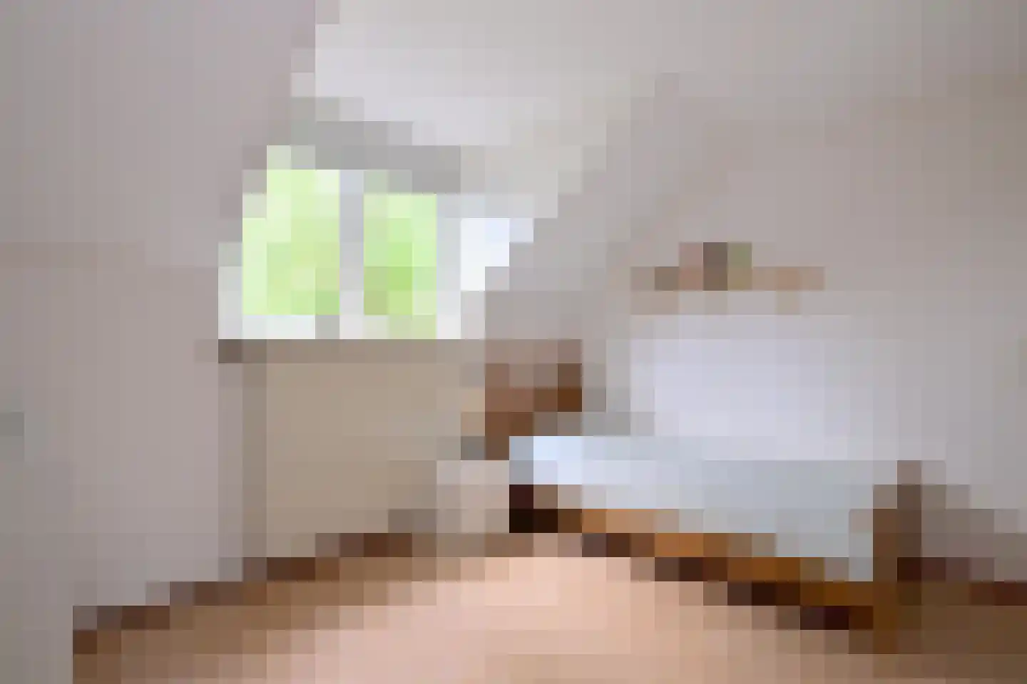 Mensinksdijkje 28 Schalkhaar thumbnail 17