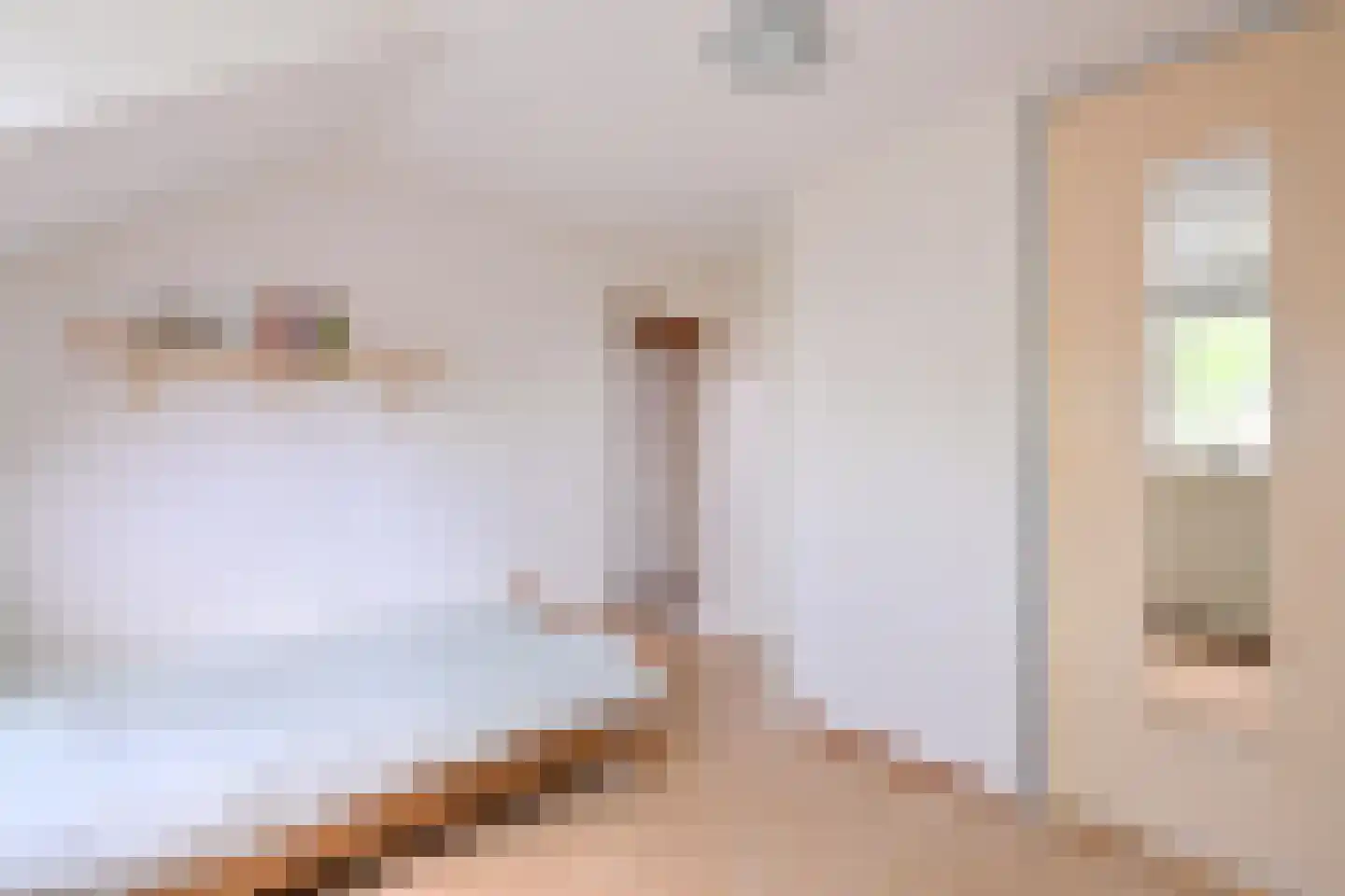 Mensinksdijkje 28 Schalkhaar thumbnail 18
