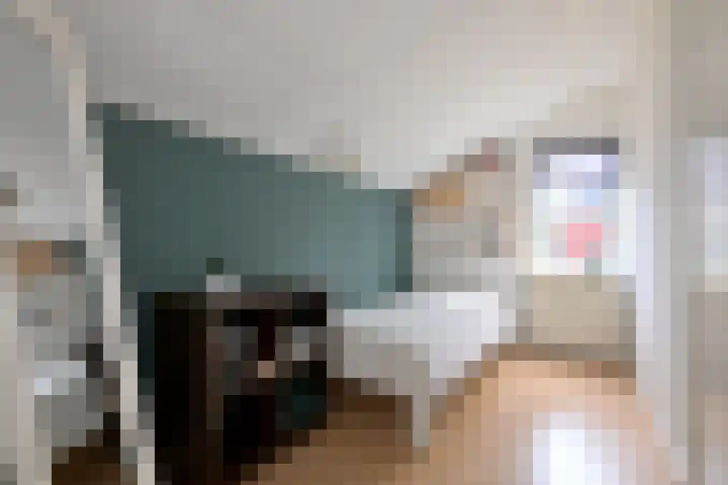 Mensinksdijkje 28 Schalkhaar thumbnail 19