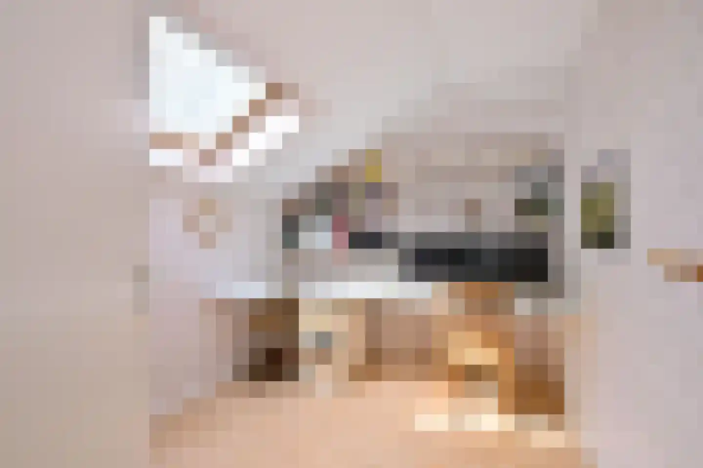 Mensinksdijkje 28 Schalkhaar thumbnail 21