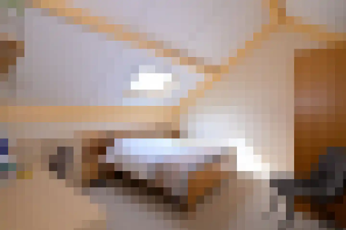 Mensinksdijkje 28 Schalkhaar thumbnail 22