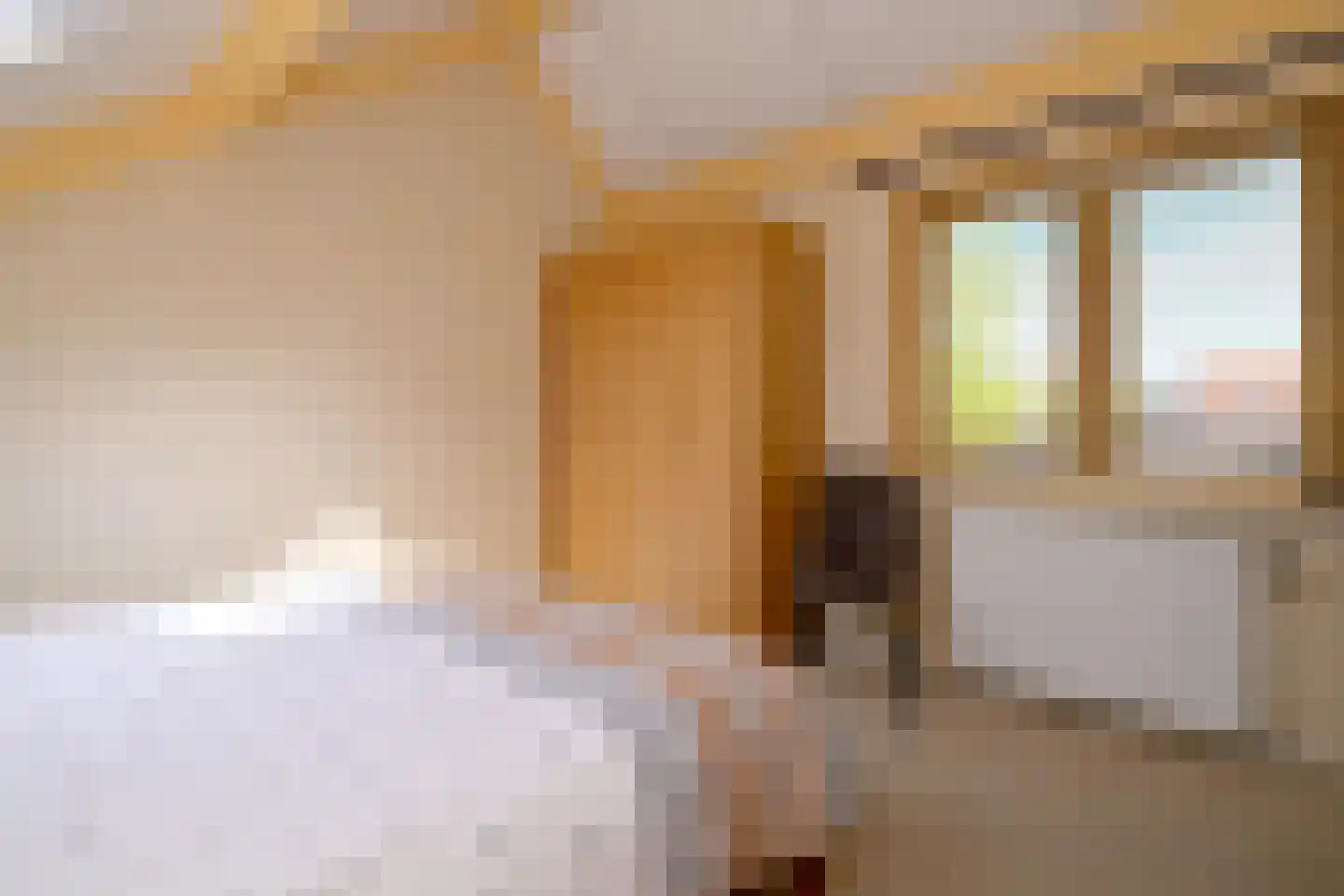 Mensinksdijkje 28 Schalkhaar thumbnail 23