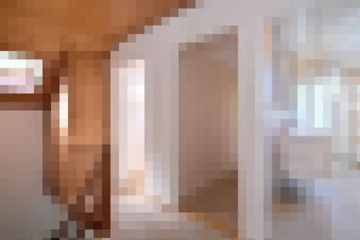 Mensinksdijkje 28 Schalkhaar thumbnail 25