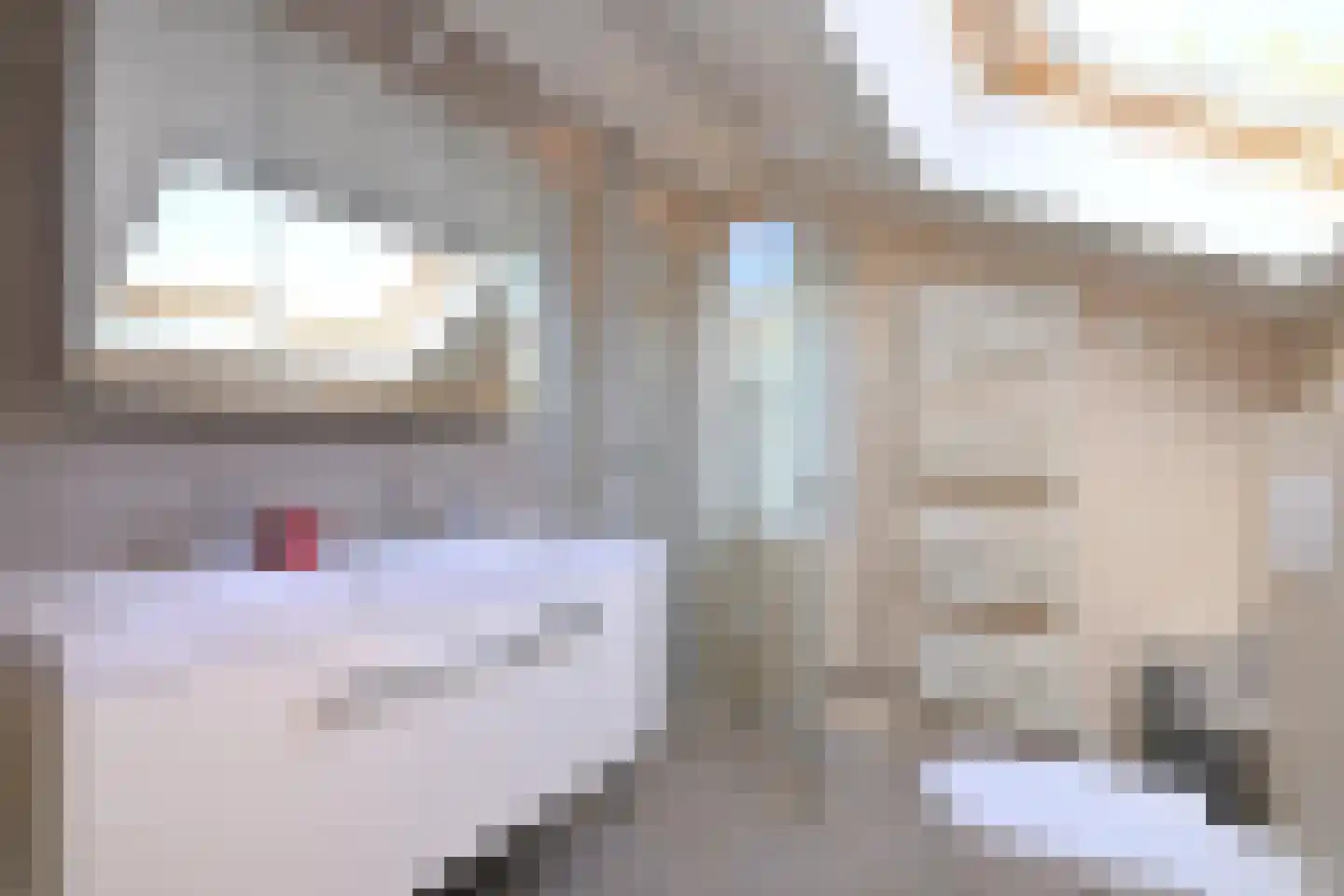 Mensinksdijkje 28 Schalkhaar thumbnail 26