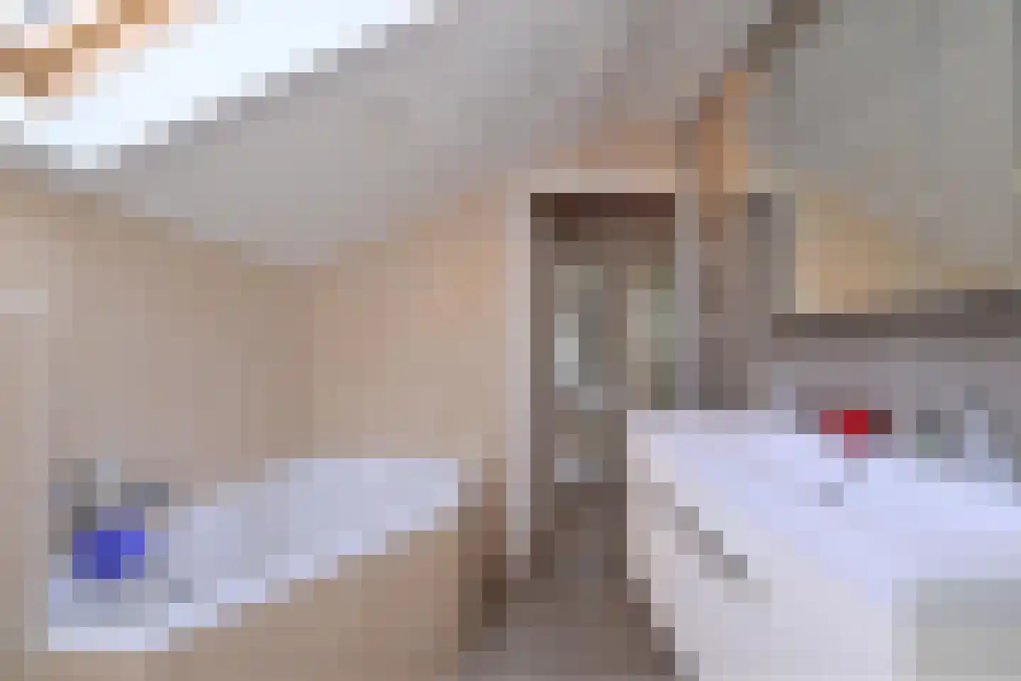 Mensinksdijkje 28 Schalkhaar thumbnail 28