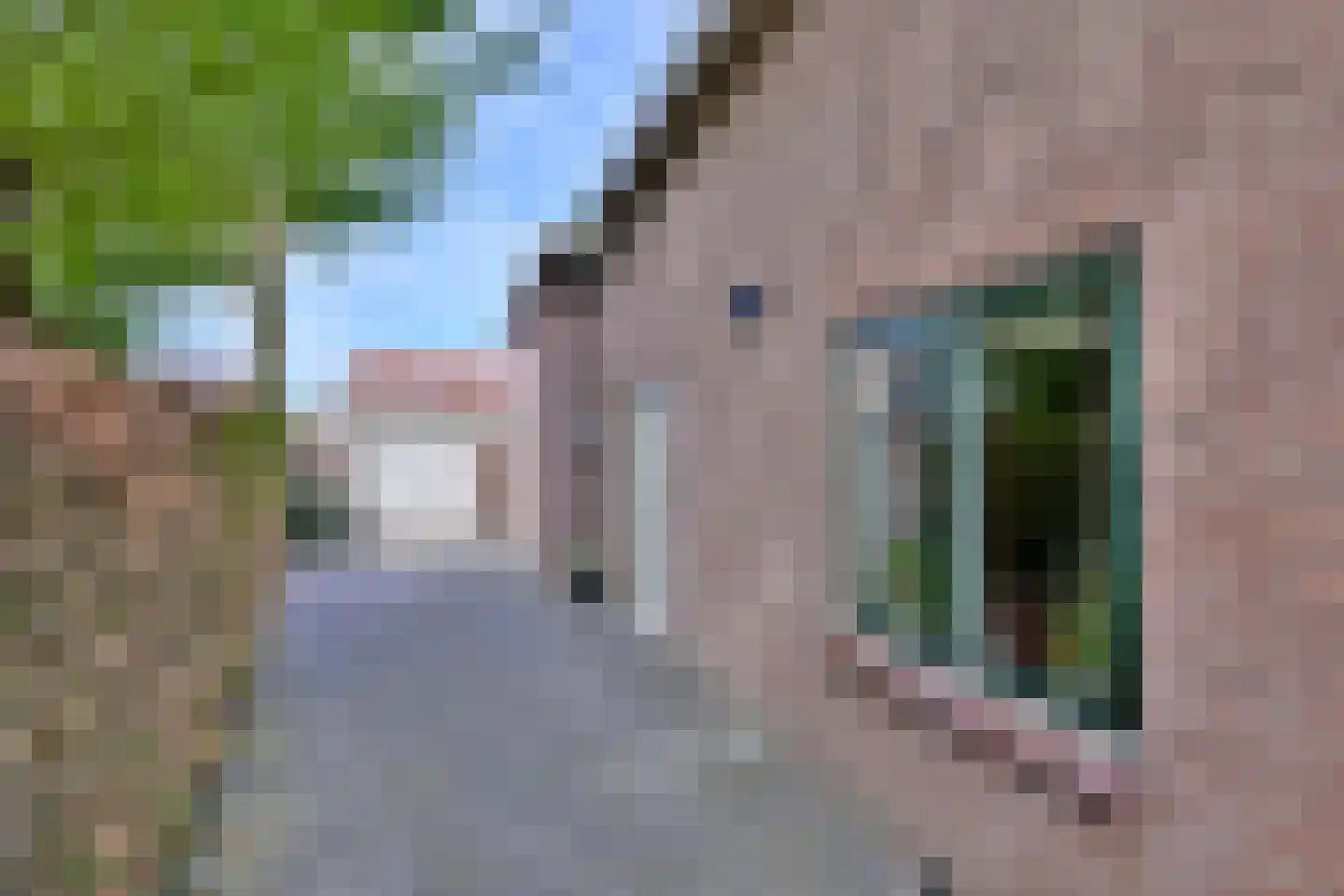 Mensinksdijkje 28 Schalkhaar foto 3