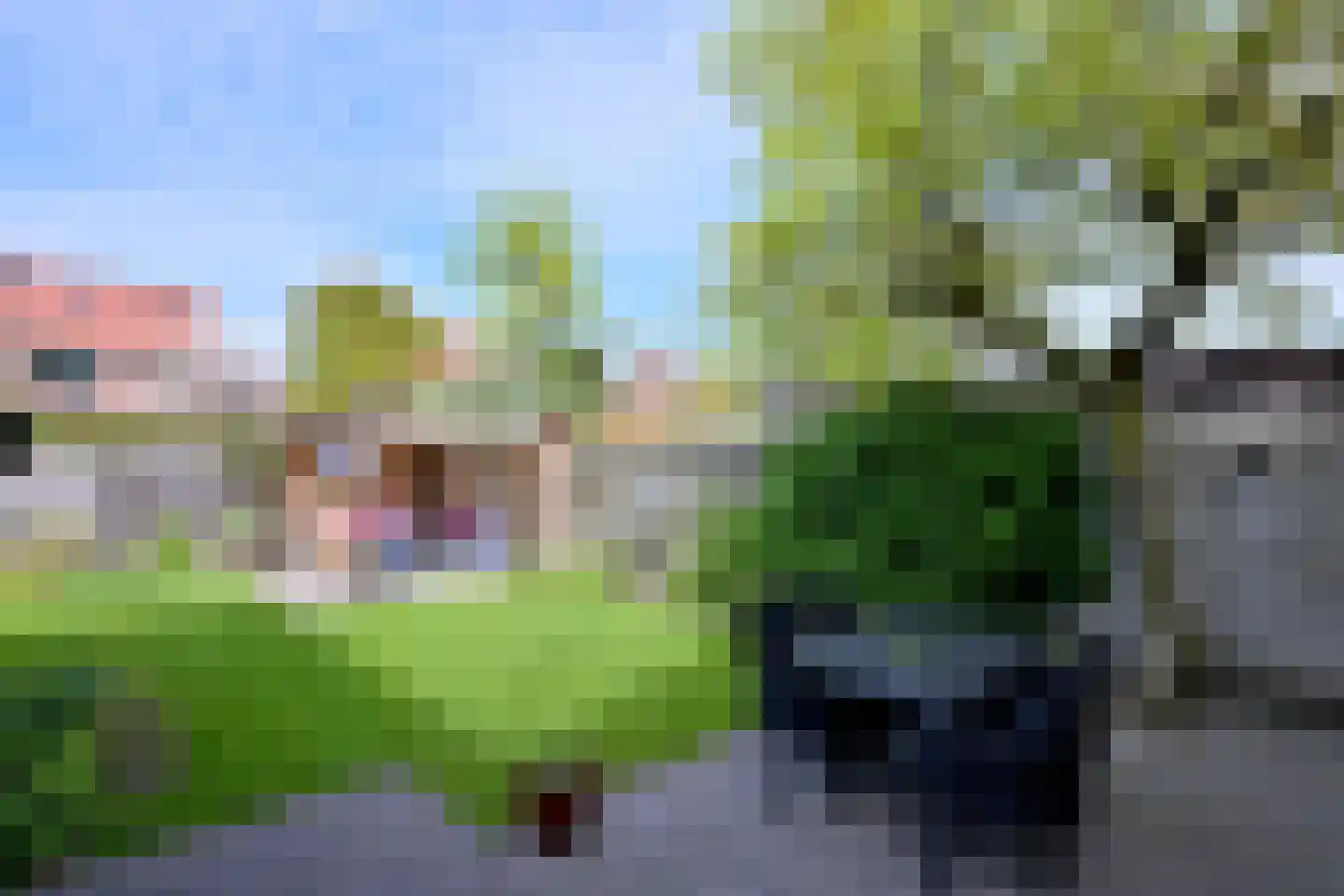 Mensinksdijkje 28 Schalkhaar thumbnail 30