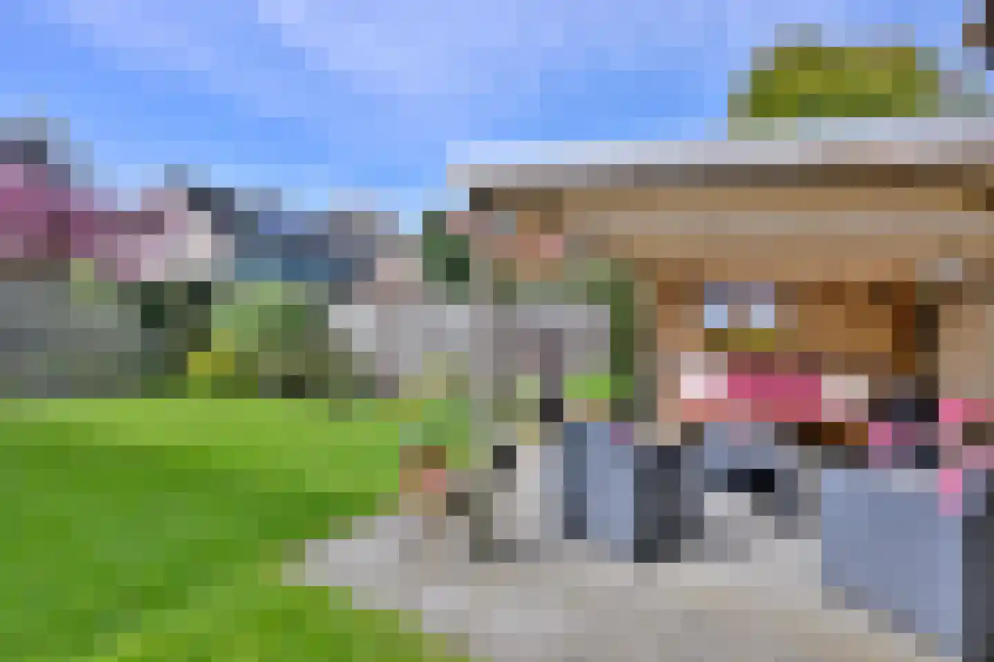 Mensinksdijkje 28 Schalkhaar thumbnail 31