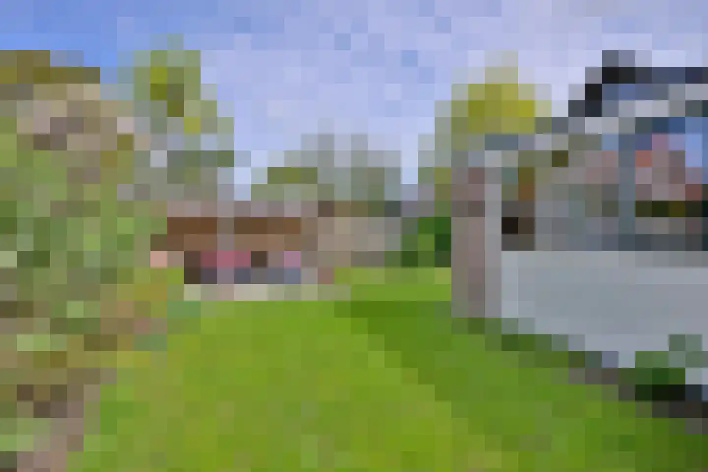 Mensinksdijkje 28 Schalkhaar thumbnail 32