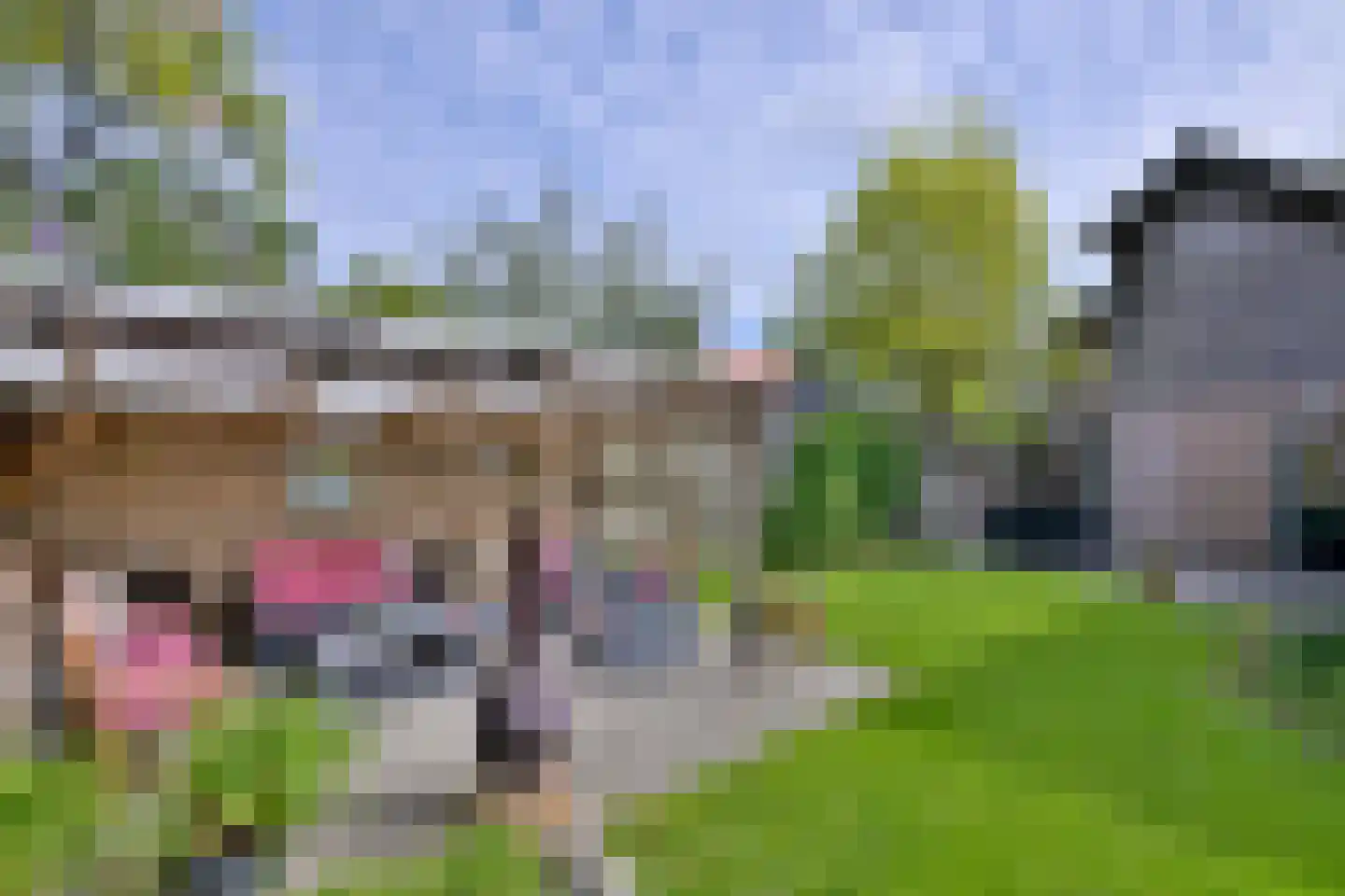Mensinksdijkje 28 Schalkhaar thumbnail 33