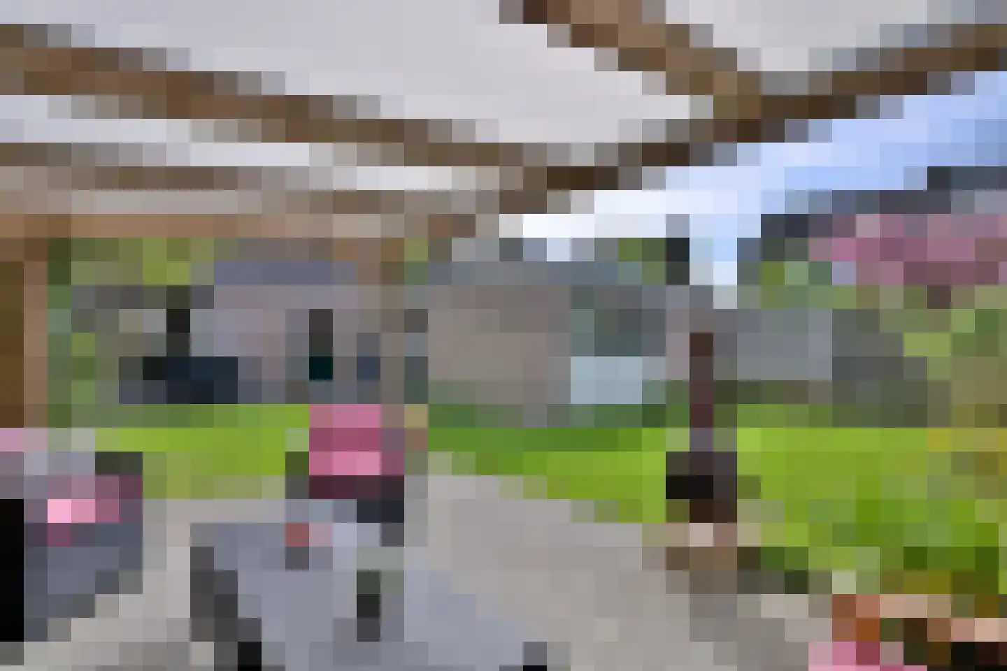 Mensinksdijkje 28 Schalkhaar thumbnail 34