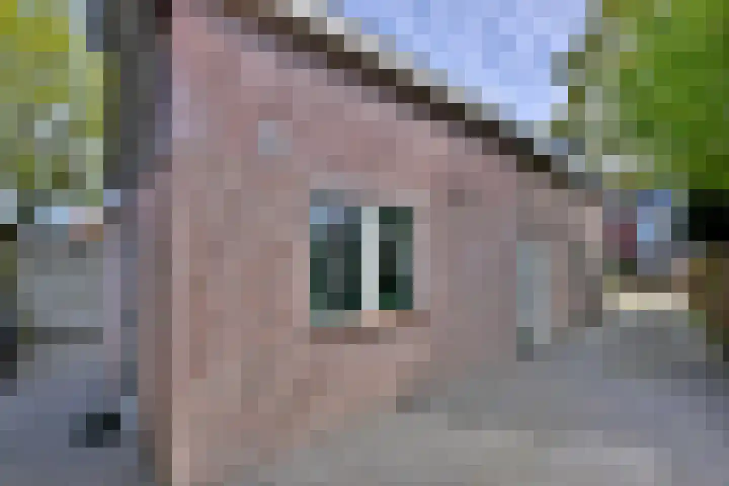 Mensinksdijkje 28 Schalkhaar thumbnail 36