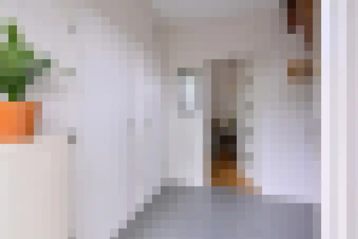 Mensinksdijkje 28 Schalkhaar thumbnail 4
