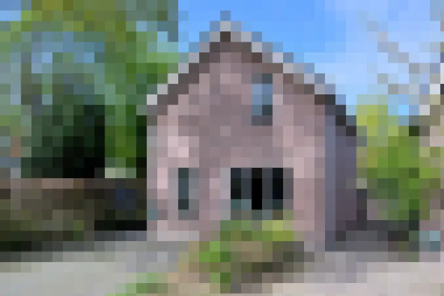 Mensinksdijkje 28 Schalkhaar thumbnail 40