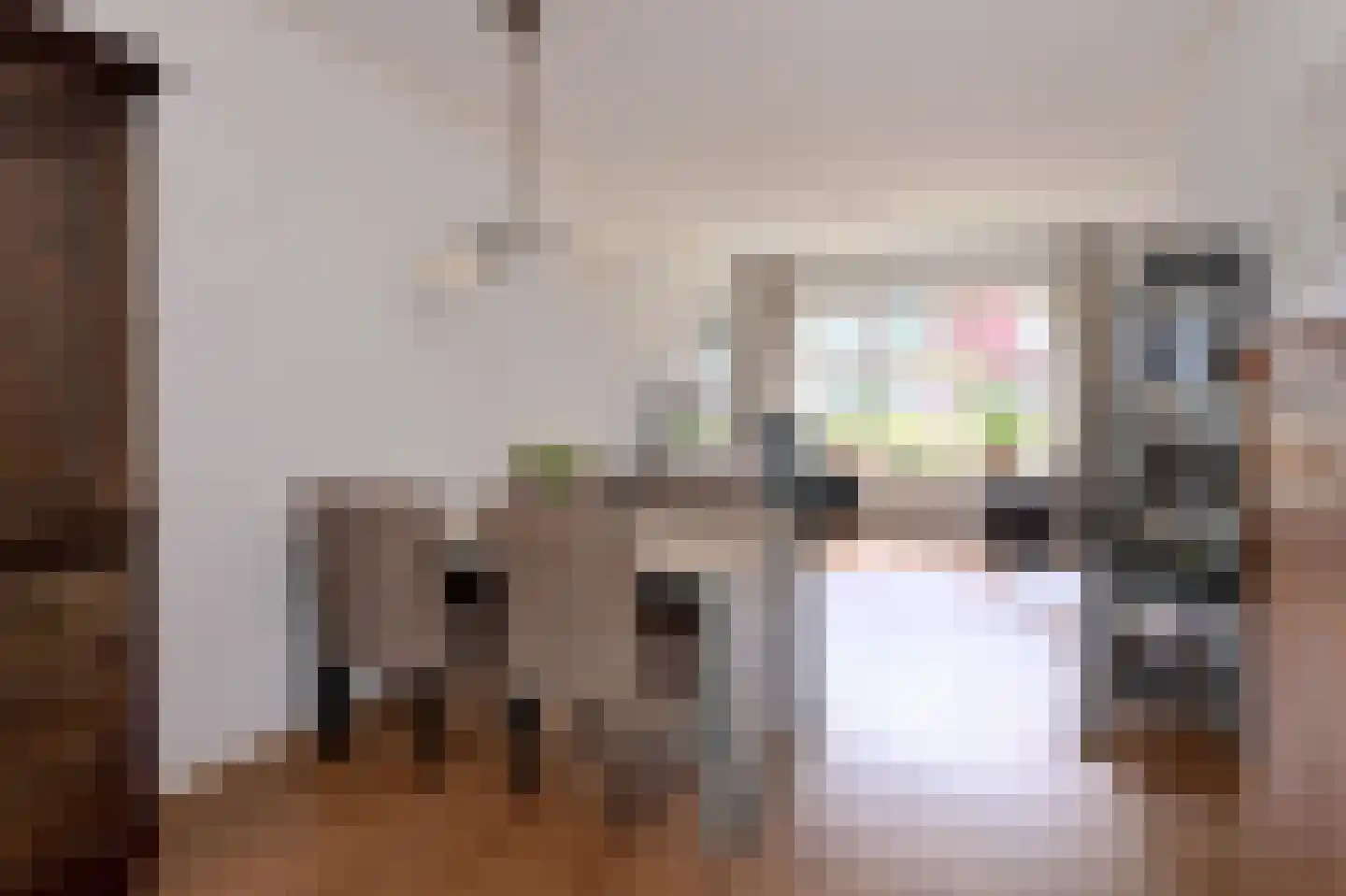 Mensinksdijkje 28 Schalkhaar thumbnail 5