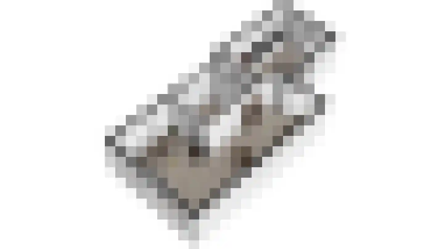 Mensinksdijkje 28 Schalkhaar thumbnail 51