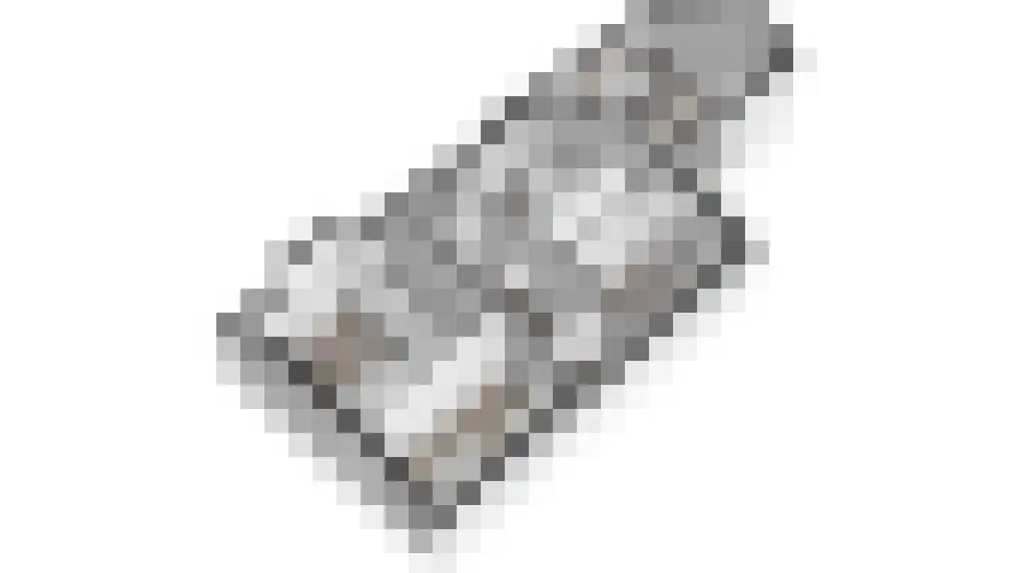 Mensinksdijkje 28 Schalkhaar thumbnail 52