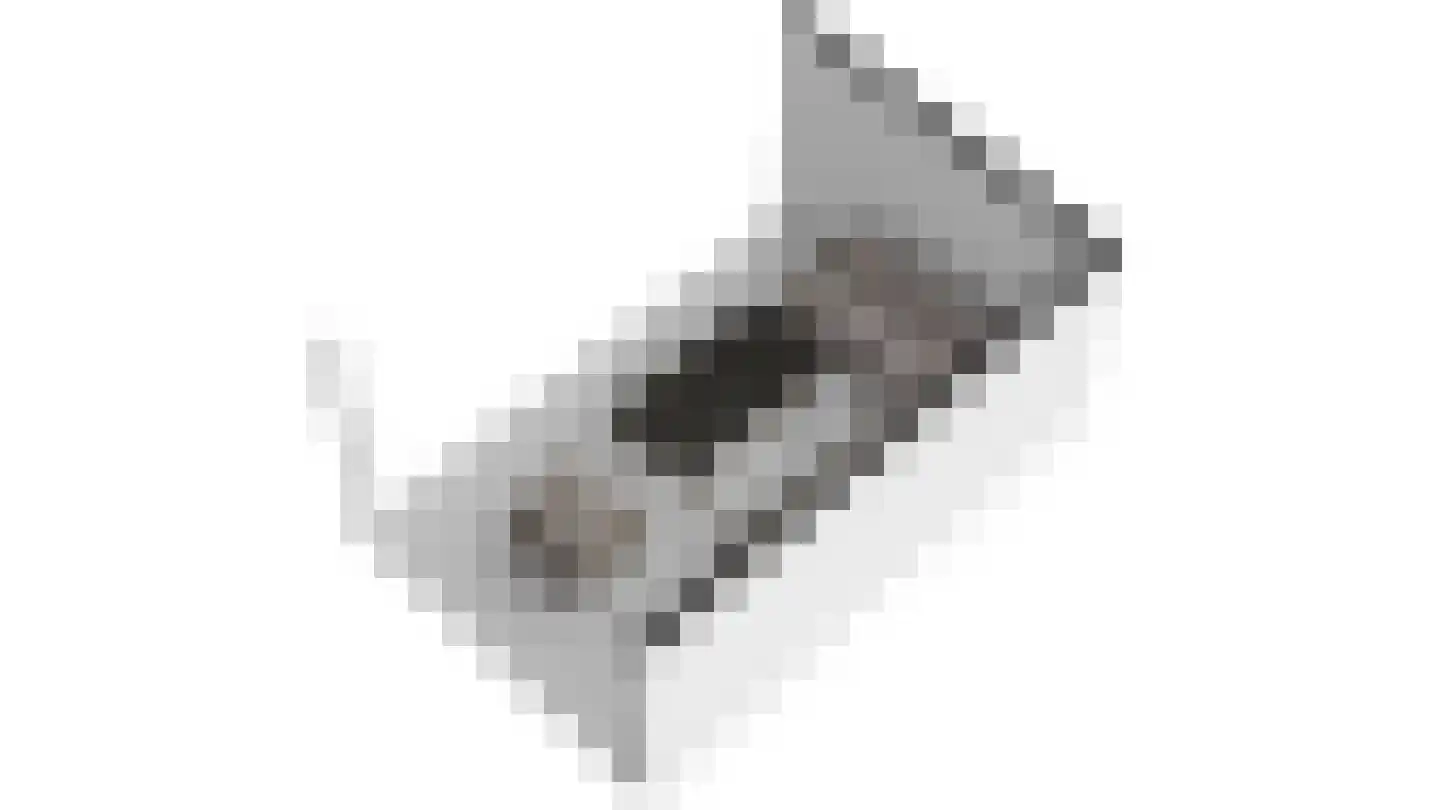 Mensinksdijkje 28 Schalkhaar thumbnail 55