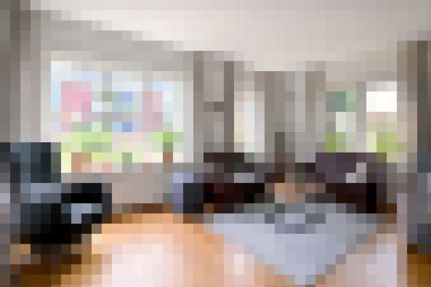 Mensinksdijkje 28 Schalkhaar thumbnail 6