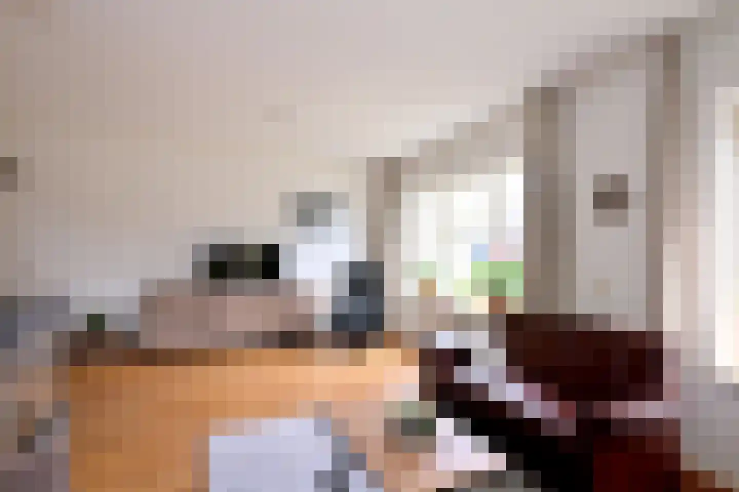 Mensinksdijkje 28 Schalkhaar thumbnail 7