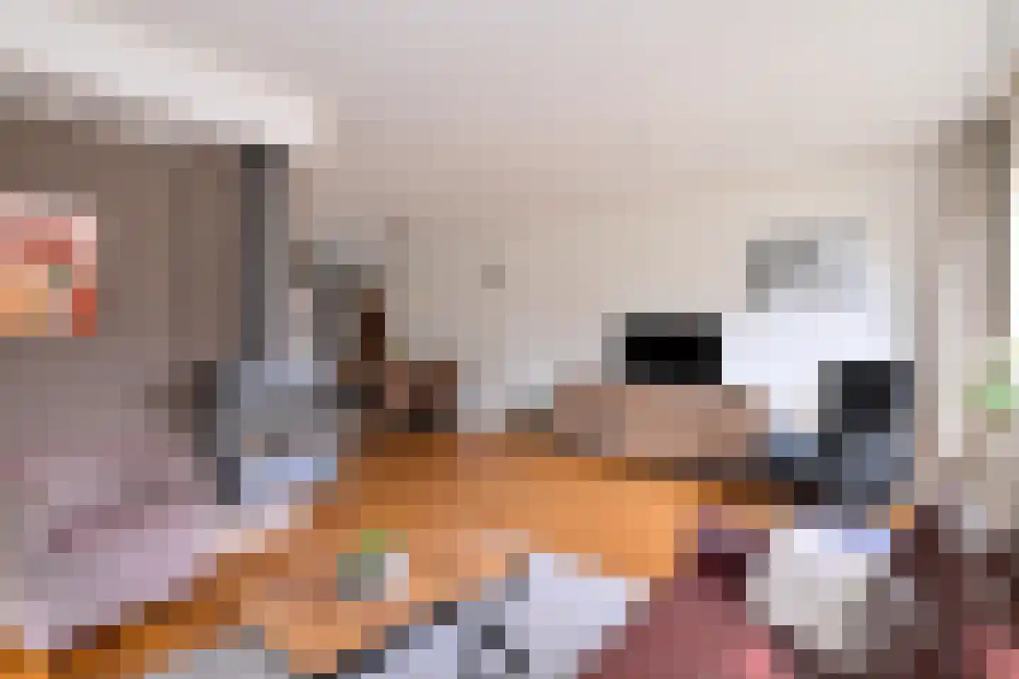 Mensinksdijkje 28 Schalkhaar thumbnail 8