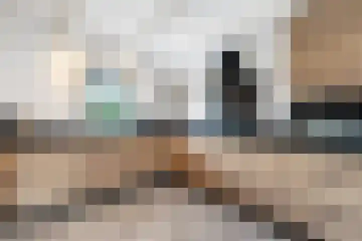 Mensinkweg 100 Nijverdal thumbnail 12