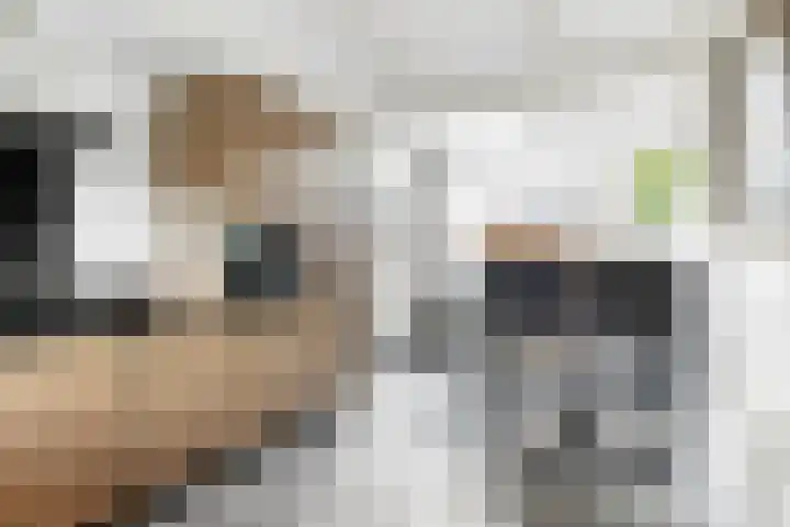 Mensinkweg 100 Nijverdal thumbnail 13