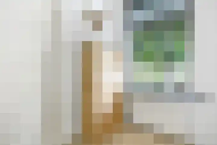 Mensinkweg 100 Nijverdal thumbnail 16