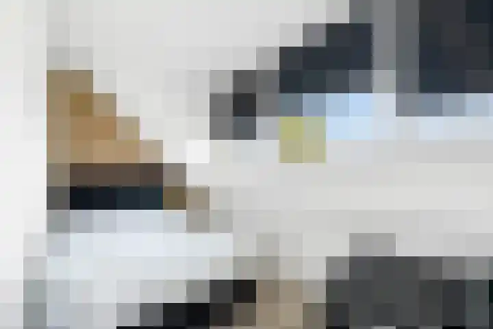 Mensinkweg 100 Nijverdal thumbnail 21