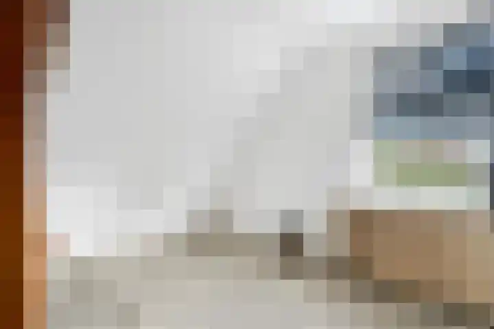 Mensinkweg 100 Nijverdal thumbnail 22