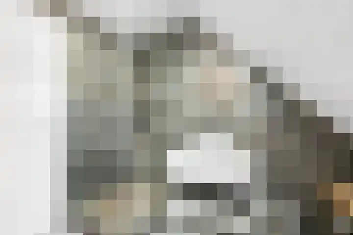Mensinkweg 100 Nijverdal thumbnail 25