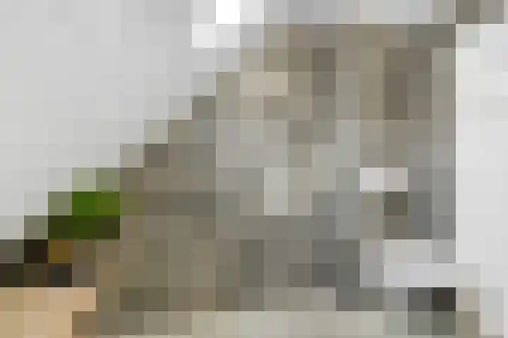 Mensinkweg 100 Nijverdal thumbnail 26