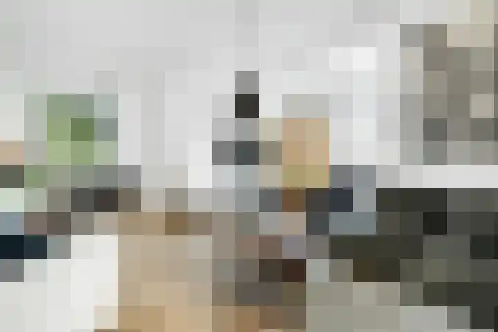Mensinkweg 100 Nijverdal foto 3