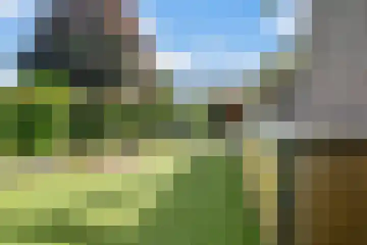 Mensinkweg 100 Nijverdal thumbnail 30