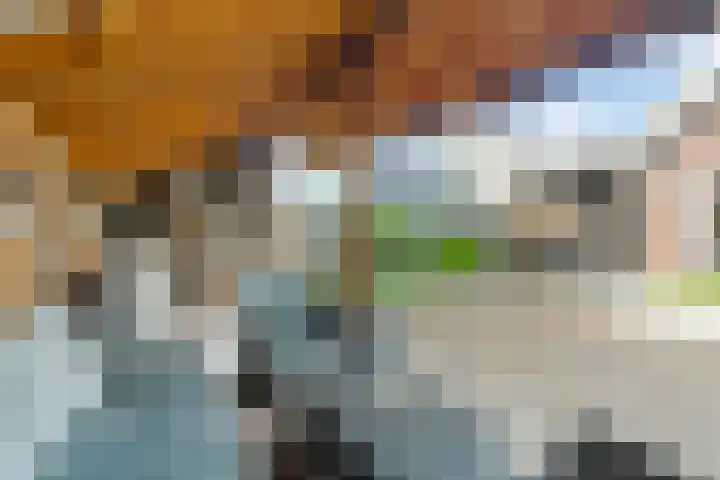 Mensinkweg 100 Nijverdal thumbnail 33