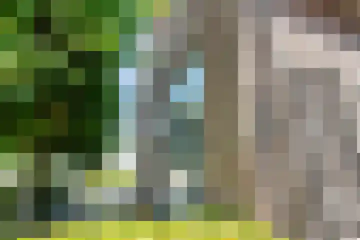 Mensinkweg 100 Nijverdal thumbnail 36