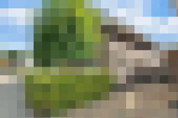 Mensinkweg 100 Nijverdal thumbnail 37